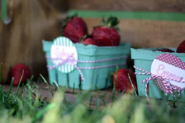 FREE Strawberry Straw Toppers  Strawberry shortcake party, Strawberry  shortcake party favors, Strawberry party