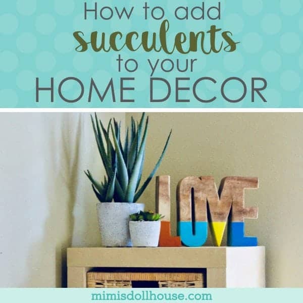 Decorating with Succulents: Add a little Green to your Home Decor.  Looking for a way to add plants into your home decor?  Today we are talking about decorating with succulents and ways to add them into your decor. #succulents #homedecor #diy #home
