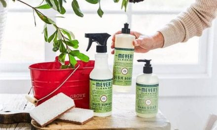 Grab your Free Mrs. Meyers Holiday Cleaning Set